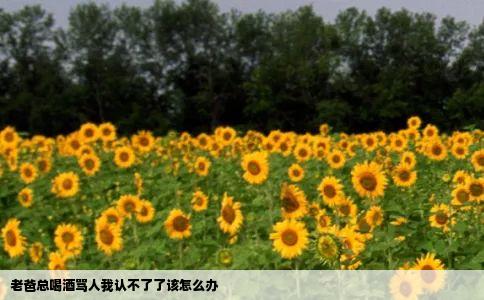 老爸总喝酒骂人我认不了了该怎么办