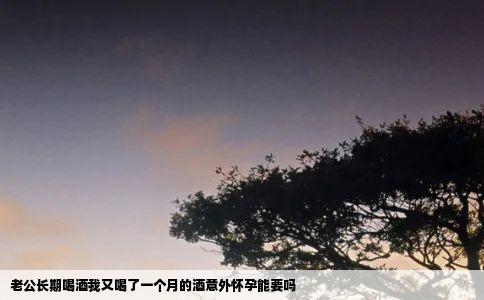 老公长期喝酒我又喝了一个月的酒意外怀孕能要吗