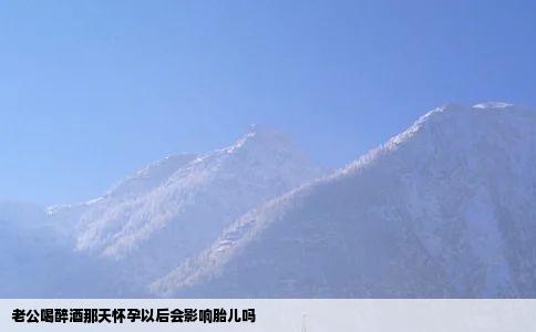 老公喝醉酒那天怀孕以后会影响胎儿吗