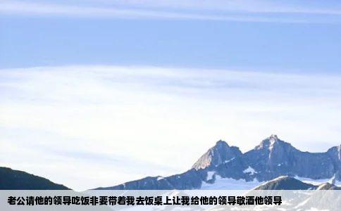 老公请他的领导吃饭非要带着我去饭桌上让我给他的领导敬酒他领导
