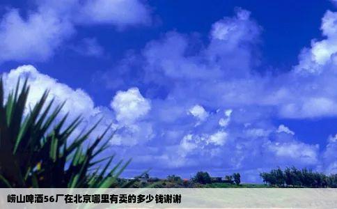 崂山啤酒56厂在北京哪里有卖的多少钱谢谢