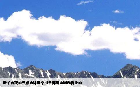 老子要戒酒先跟酒杯告个别辛弃疾沁园春将止酒