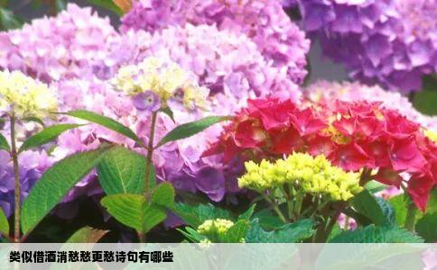 类似借酒消愁愁更愁诗句有哪些