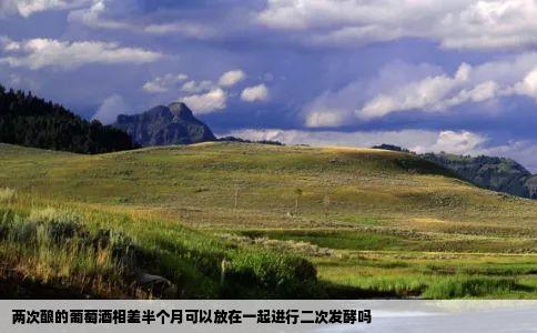 两次酿的葡萄酒相差半个月可以放在一起进行二次发酵吗