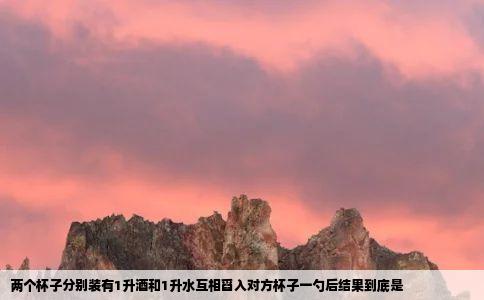 两个杯子分别装有1升酒和1升水互相舀入对方杯子一勺后结果到底是