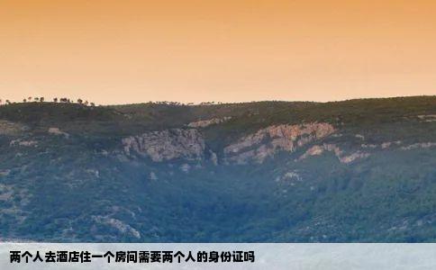 两个人去酒店住一个房间需要两个人的身份证吗