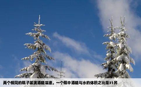 两个相同的瓶子装满酒精溶液一个瓶中酒精与水的体积之比是31另