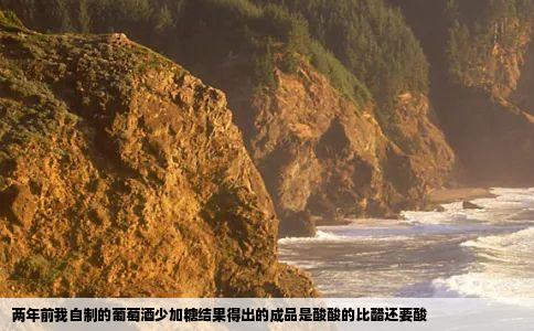 两年前我自制的葡萄酒少加糖结果得出的成品是酸酸的比醋还要酸