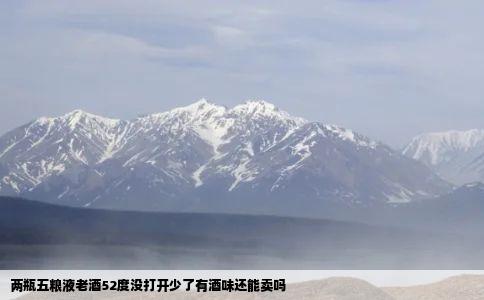 两瓶五粮液老酒52度没打开少了有酒味还能卖吗