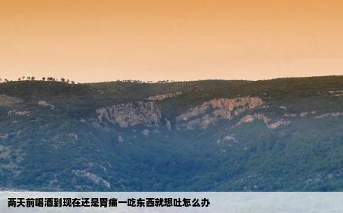 两天前喝酒到现在还是胃痛一吃东西就想吐怎么办
