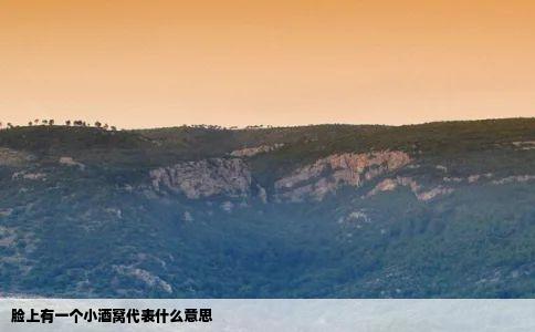 脸上有一个小酒窝代表什么意思
