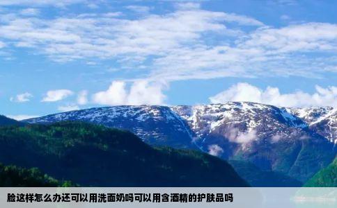 脸这样怎么办还可以用洗面奶吗可以用含酒精的护肤品吗