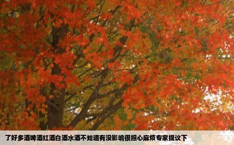 了好多酒啤酒红酒白酒水酒不知道有没影响很担心麻烦专家提议下