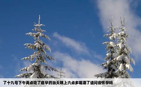 了十九号下午两点吃了避孕药当天晚上六点多喝酒了请问会怀孕吗