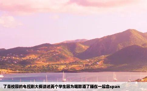 了是校园的电视剧大概讲述两个学生因为喝醉酒了睡在一起命span