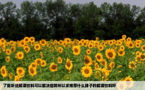 了我听说解酒饮料可以解决宿醉所以求推荐什么牌子的解酒饮料好