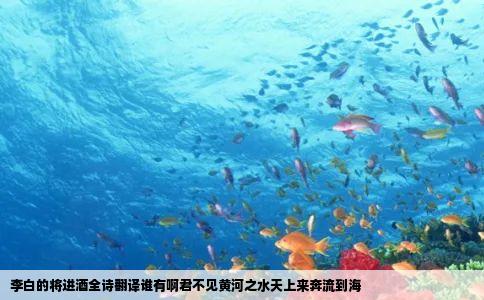 李白的将进酒全诗翻译谁有啊君不见黄河之水天上来奔流到海