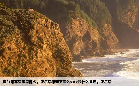 里的茱蒂贝尔摩德么贝尔摩德苦艾酒么xxx是什么意思贝尔摩