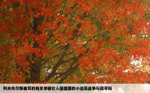 列夫托尔斯泰写的有关拿破仑入侵俄国的小说是战争与和平吗