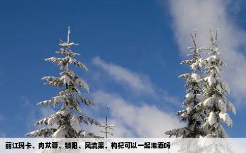 丽江玛卡、肉苁蓉、锁阳、风流果、枸杞可以一起泡酒吗