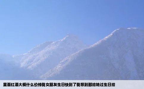 里面红酒大概什么价格我女朋友生日快到了我想到那给她过生日给