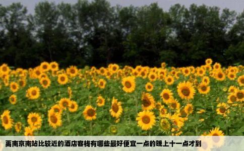 离南京南站比较近的酒店客栈有哪些最好便宜一点的晚上十一点才到