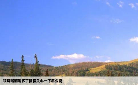 领导喝酒喝多了微信关心一下怎么说