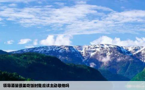 领导酒量很差吃饭时我应该主动敬他吗