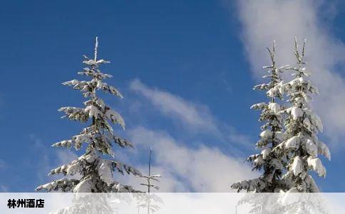 林州酒店