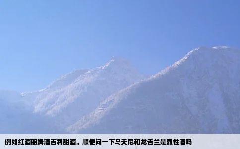 例如红酒朗姆酒百利甜酒。顺便问一下马天尼和龙舌兰是烈性酒吗