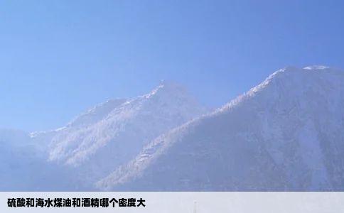 硫酸和海水煤油和酒精哪个密度大