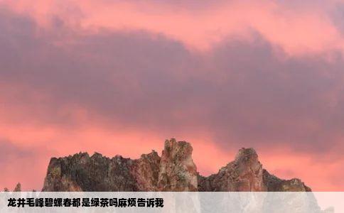 龙井毛峰碧螺春都是绿茶吗麻烦告诉我