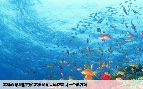 龙脉温泉度假村和龙脉温泉大酒店是同一个地方吗