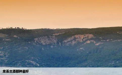 龙舌兰酒那种最好