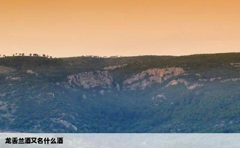 龙舌兰酒又名什么酒