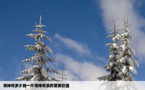 洛神花多少钱一斤洛神花茶的营养价值