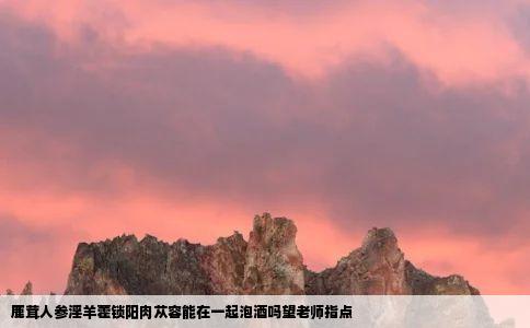 鹿茸人参淫羊藿锁阳肉苁容能在一起泡酒吗望老师指点