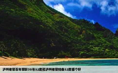 泸州老窖百年窖龄30年52度和泸州老窖特曲52度哪个好