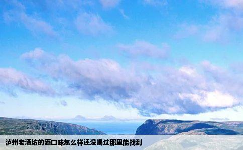 泸州老酒坊的酒口味怎么样还没喝过那里能找到
