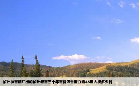 泸州神窖酒厂出的泸州老窖三十年窖藏浓香型白酒45度大概多少钱