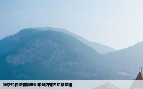 绿茶的种类有哪些山东省内有名的茶是嘛