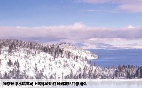 绿茶粉冲水喝完马上喝杯酸奶能起到减肥的作用么