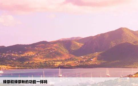 绿茶和绿茶粉的功能一样吗