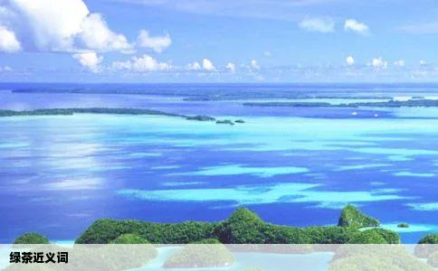 绿茶近义词
