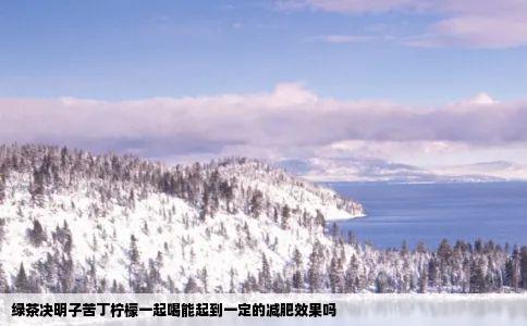 绿茶决明子苦丁柠檬一起喝能起到一定的减肥效果吗