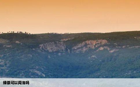 绿茶可以闷泡吗