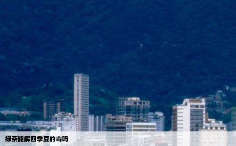 绿茶能解四季豆的毒吗