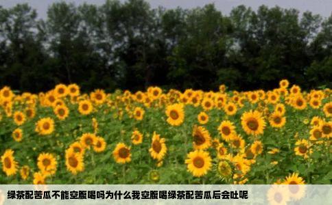 绿茶配苦瓜不能空腹喝吗为什么我空腹喝绿茶配苦瓜后会吐呢