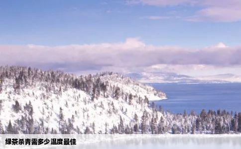 绿茶杀青需多少温度最佳