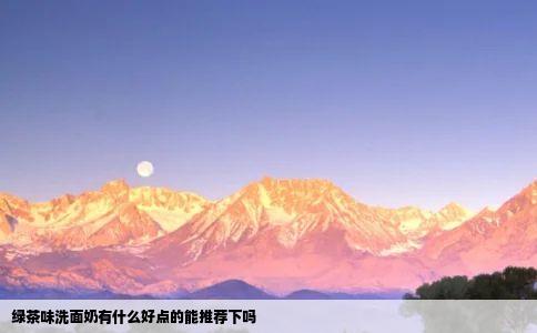 绿茶味洗面奶有什么好点的能推荐下吗